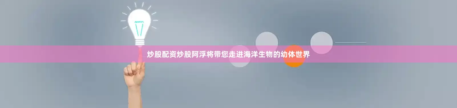 炒股配资炒股阿浮将带您走进海洋生物的幼体世界