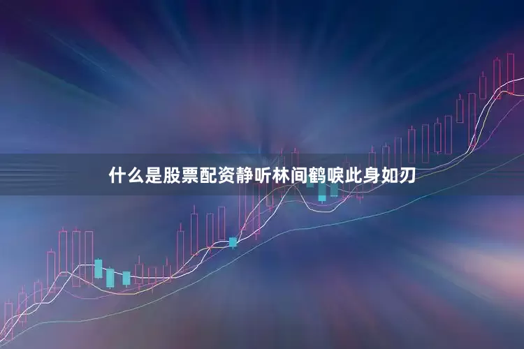 什么是股票配资静听林间鹤唳此身如刃