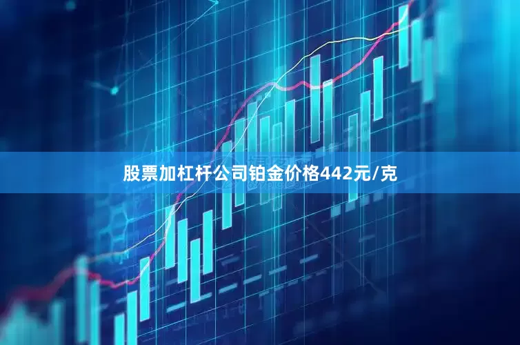 股票加杠杆公司铂金价格442元/克