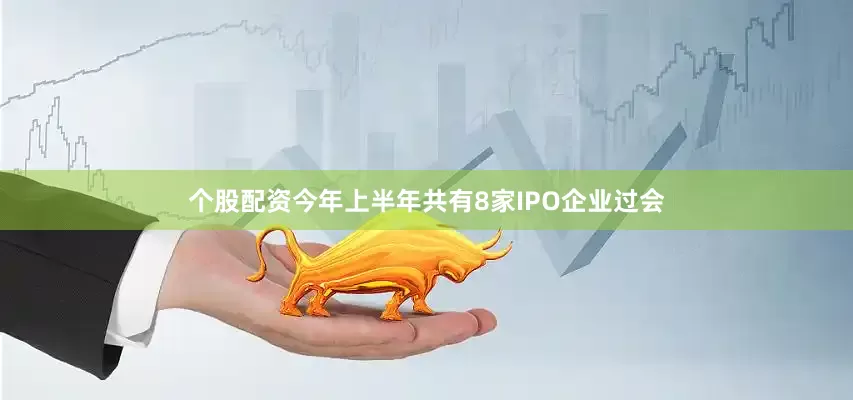 个股配资今年上半年共有8家IPO企业过会