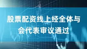 股票配资线上经全体与会代表审议通过