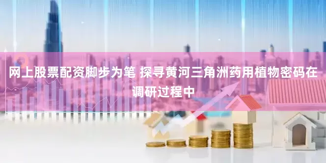 网上股票配资脚步为笔 探寻黄河三角洲药用植物密码在调研过程中
