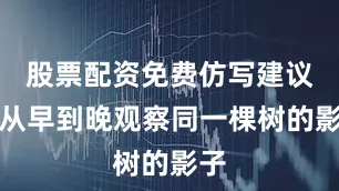 股票配资免费仿写建议：从早到晚观察同一棵树的影子