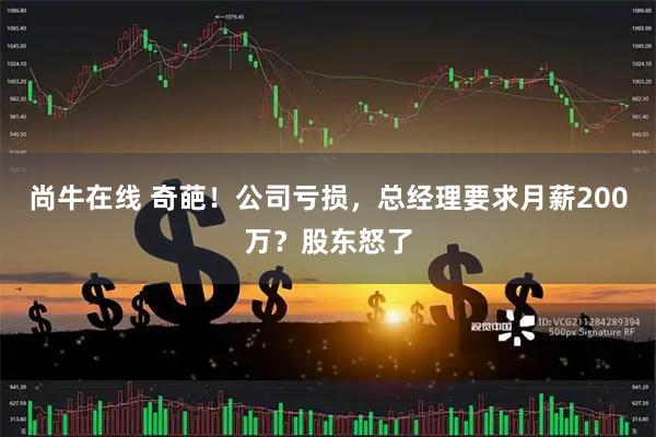尚牛在线 奇葩！公司亏损，总经理要求月薪200万？股东怒了
